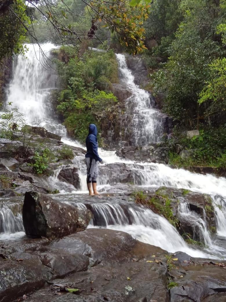 Soluna Veg - Diárias de Quartos e Chalés na temporada Florianópolis Exterior foto