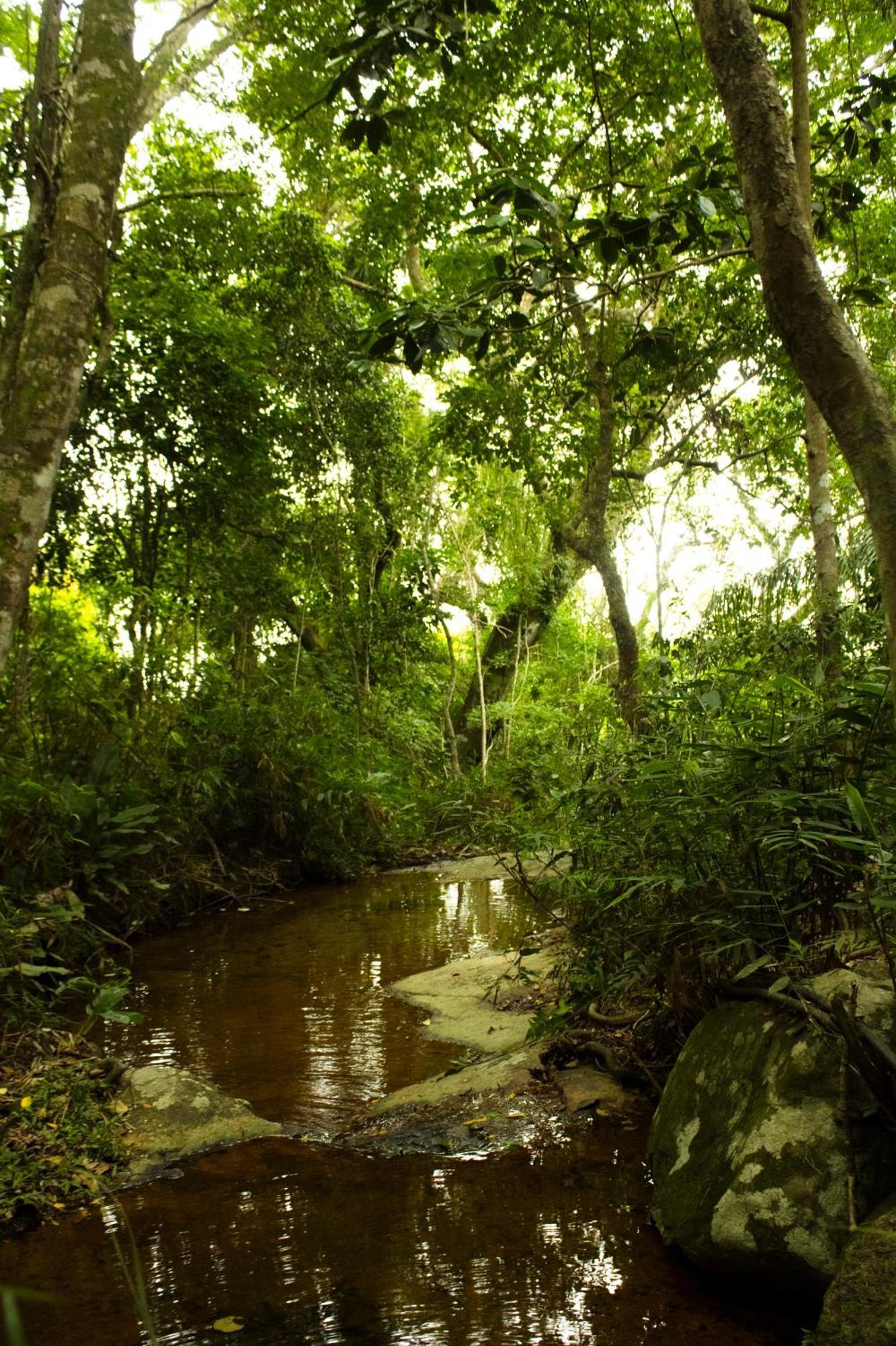 Soluna Veg - Diárias de Quartos e Chalés na temporada Florianópolis Exterior foto